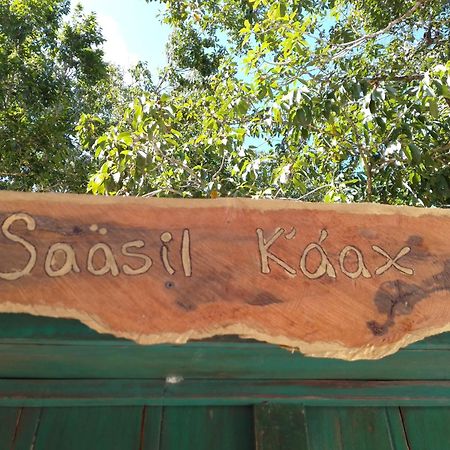 فيلا Saasil Kaax Chemuyil المظهر الخارجي الصورة