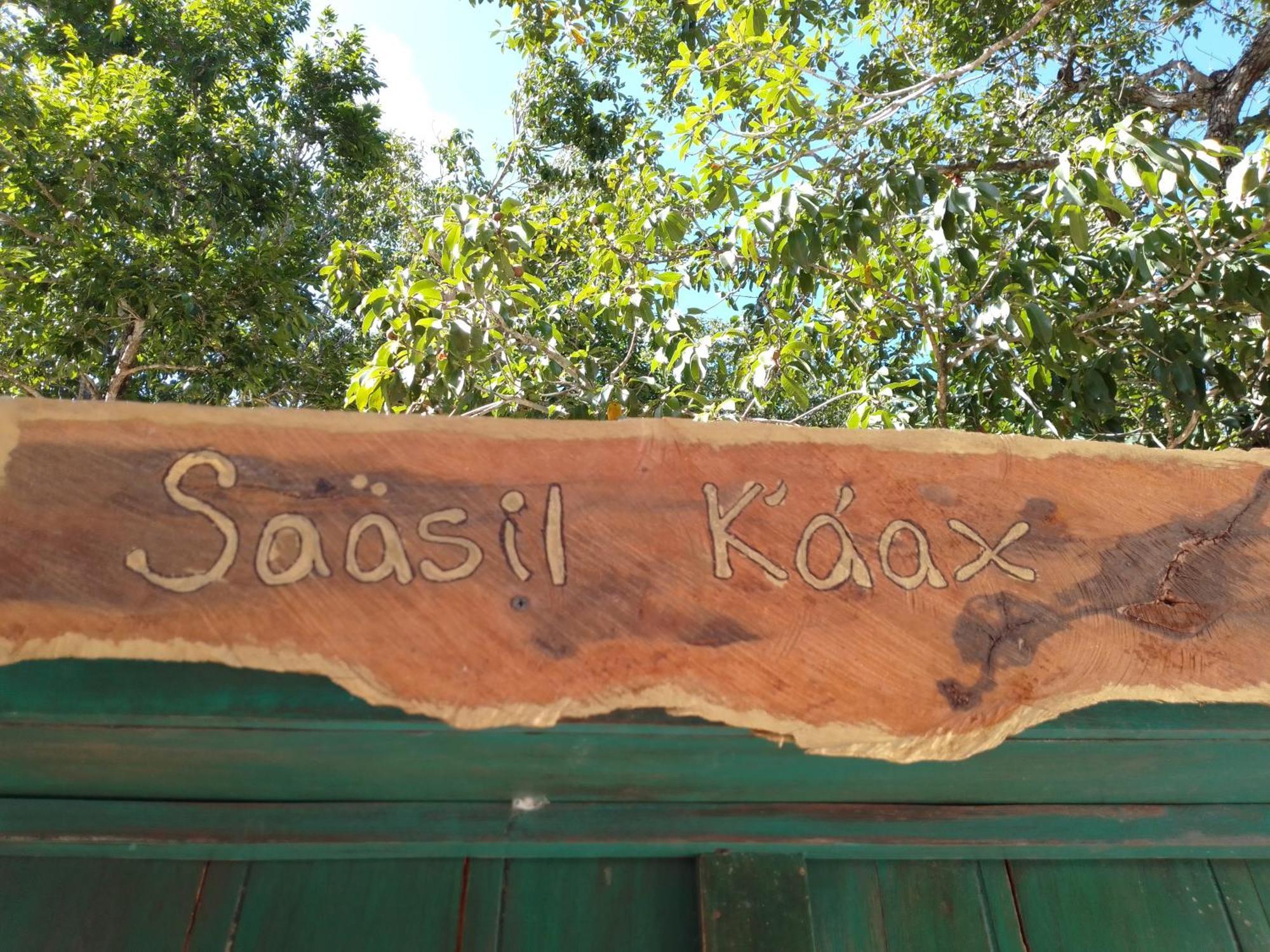 فيلا Saasil Kaax Chemuyil المظهر الخارجي الصورة